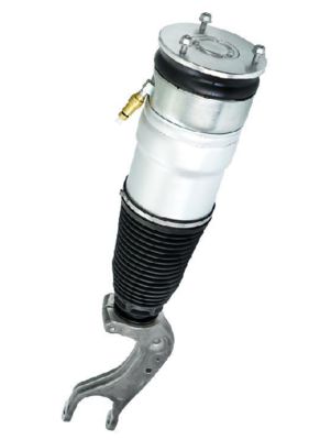 Задний пневмобаллон Tesla Model S для Dual Motor 2012-2021